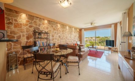 Penthouse Las Palmeras 1