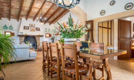 Es Garrigo de Son Mora 3