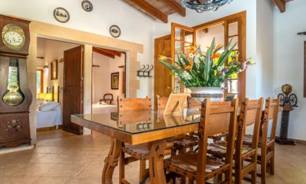 Es Garrigo de Son Mora 8