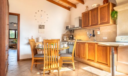 Es Garrigo de Son Mora 9