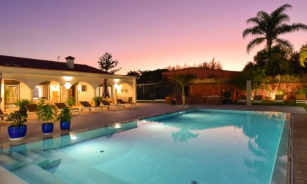 Armonia Oasis DeLuxe