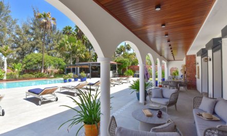 Armonia Oasis DeLuxe 2