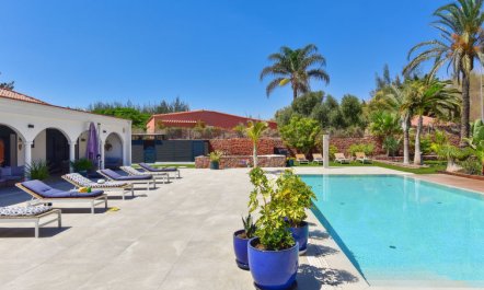 Armonia Oasis DeLuxe 6