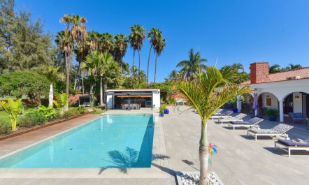 Armonia Oasis DeLuxe 5