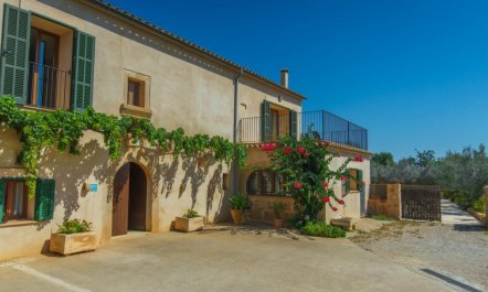 Can Marines des cami des carro 2