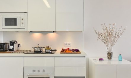 Papagayo San Agustin 8