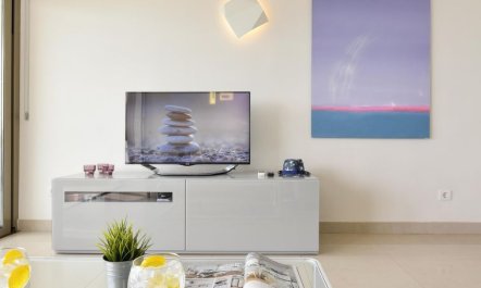 Papagayo San Agustin 6