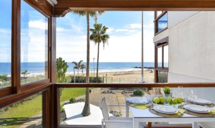 Papagayo San Agustin 7