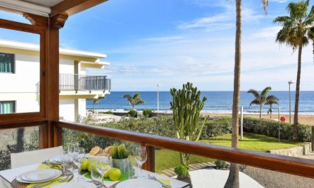 Papagayo San Agustin