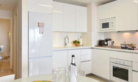 Papagayo San Agustin 3