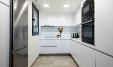 Estepona Roof Top View 7