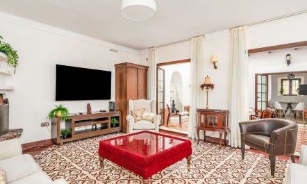 El patio de Lazaro 6