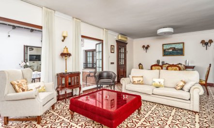 El patio de Lazaro 1