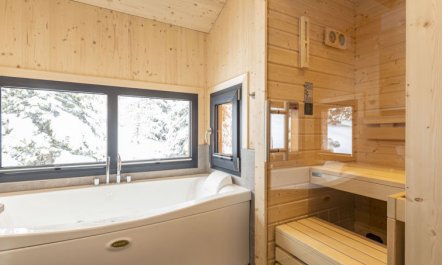 Superior Chalet mit Sprudelpool innen 3