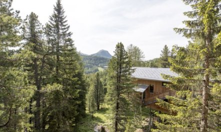 #43 mit Sauna und Sprudelbad Innen Apartment 66 6