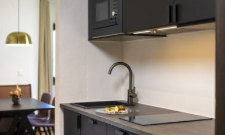 Wellnessapartment Apartment 4 5