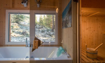 #42 mit Sauna und Sprudelbad innen Apartment 65 5