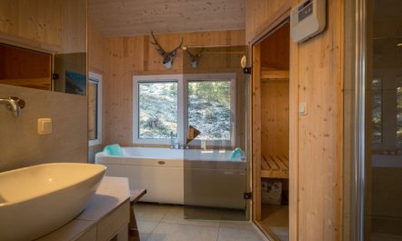 #42 mit Sauna und Sprudelbad innen Apartment 65 4