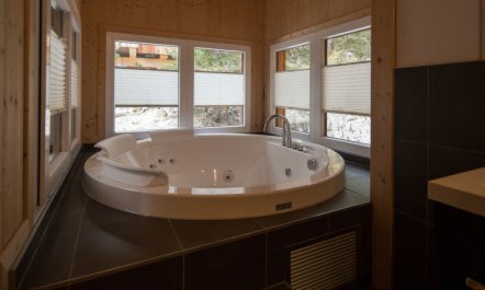 #31 mit IR-Sauna und Sprudelbad innen Apartment 61 4