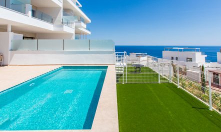 Collection View Free Spa & Padel 1