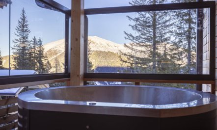 Superior # 6 mit Sauna & Hot Tub Holiday Home 6 6
