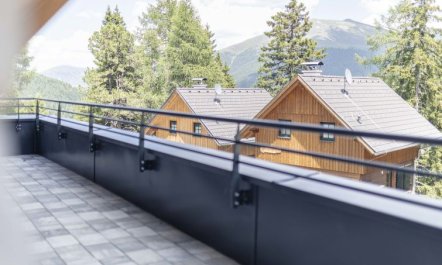 Superior für 10 Personen mit Sauna Holiday Home 2 5