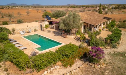 San Blai Llum de Sal