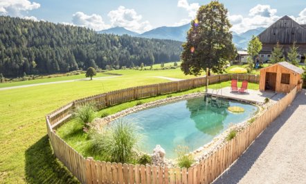 Grimmingblickhütte Holiday Home 2 2