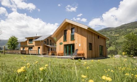 mit 4 Schlafzimmern & IR-Sauna Holiday Home 8