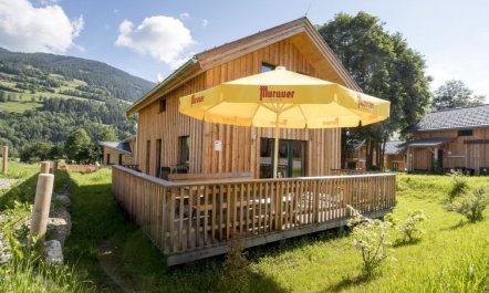 Chalet mit 4 Schlafzimmern Holiday Home 16