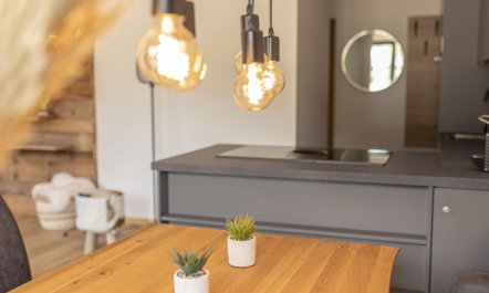 Superior mir 2 Schlafzimmern & IR-Sauna Apartment 4 7