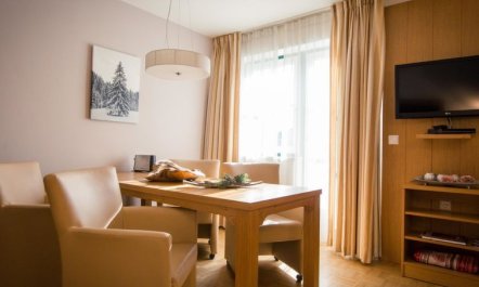 #11 mit Balkon Apartment 9 7