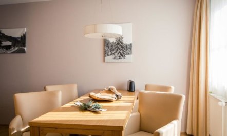 #11 mit Balkon Apartment 9 6