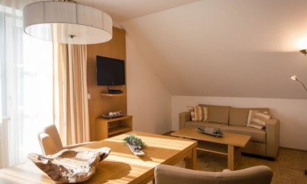 #11 mit Balkon Apartment 9 2