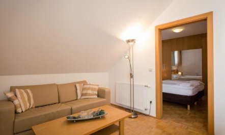 #11 mit Balkon Apartment 9 5