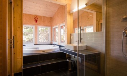 #17 mit IR-Sauna&Sprudelwanne aussen Apartment 42 3