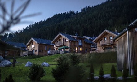 Superior #11 IR-Sauna&Sprudelwanne Holiday Home 11 6