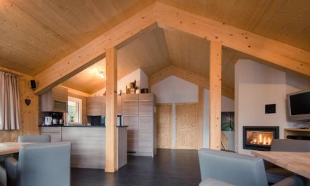 #27 mit IR-Sauna und Sprudelbad Innen Apartment 33 1