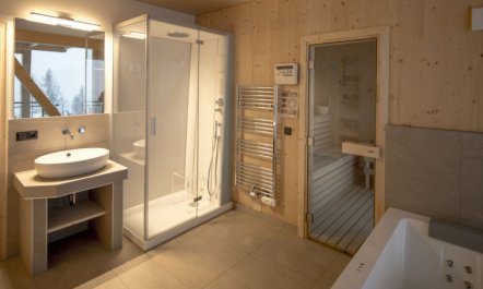 Superior # 02 Sauna&Sprudelwanne innen Apartment 3 4