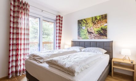 mit 4 Schlafzimmern & Sauna Holiday Home 5 3