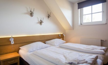 #14 mit Balkon Apartment 11 5