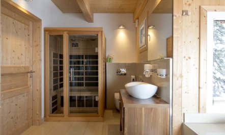 #38 mit IR-Sauna und Sprudelbad innen Apartment 63 4