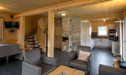 Superior mit 5 SZ,Sauna o.IR Sauna+SB Holiday Home 33 1