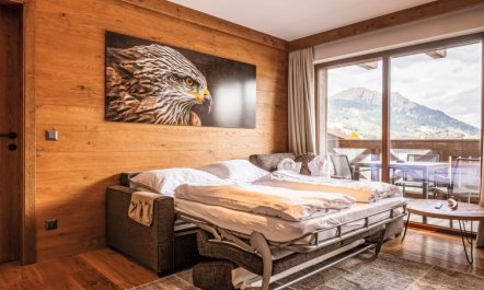 Premium mit 1 Schlafzimmer Apartment 2 6