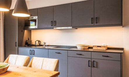 Premium mit 1 Schlafzimmer Apartment 2 5