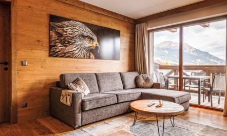 Premium mit 1 Schlafzimmer Apartment 2 4