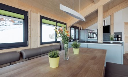 Premium # 09 mit Sauna & Swim Spa 1