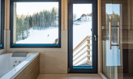 Premium # 09 mit Sauna & Swim Spa 5
