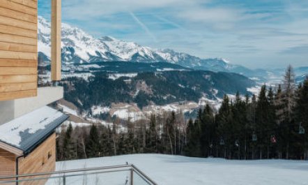 Premium # 09 mit Sauna & Swim Spa 7