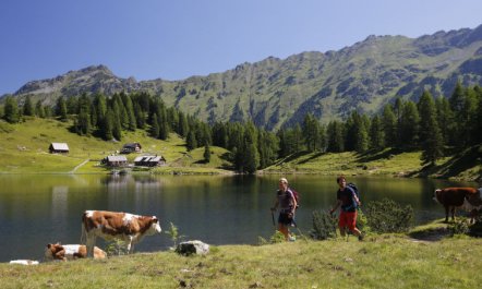 mit 2 Schlafzimmern & Privater Sauna Apartment 5 7